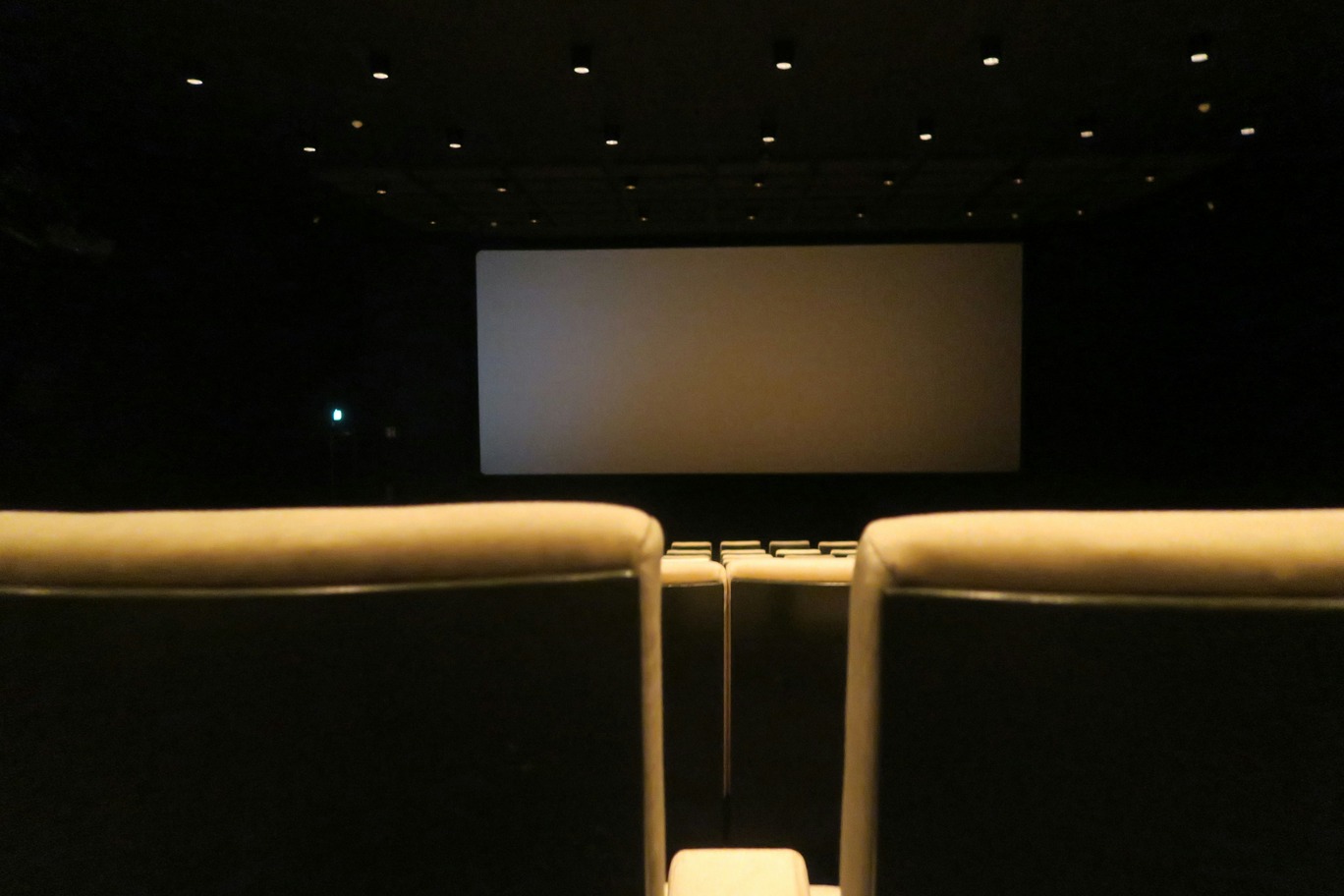 Cinema Experience